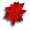 flowerbullet.gif (1326 bytes)