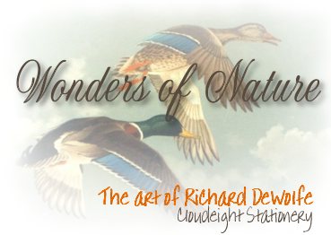 Wonders of Nature - The Art of Richard DeWolfe
