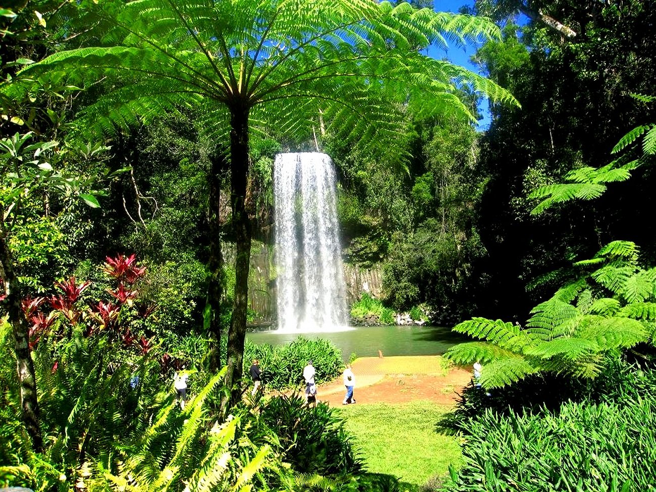 Millaa Falls Australia by bigaloscar