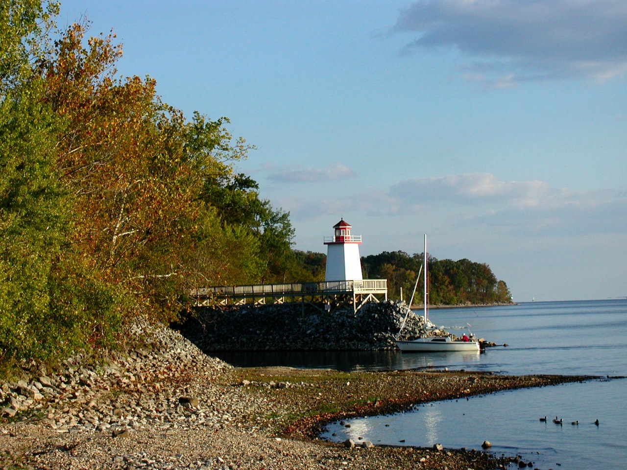 Fall Trees, Lighthouse.. by Carolyn