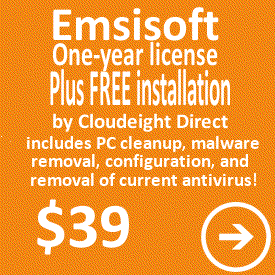 Emsisoft, one-year license, with professional install