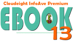 Cloudeight InfoAve Premium E-book 13