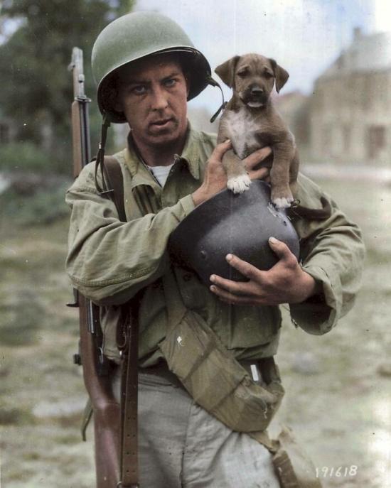 Soldier and Dog from BoredPanda - A Cloudeight Site Pick