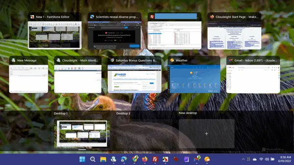 Windows 11 - Windows Key _ Tab - Cloudeight InfoAve