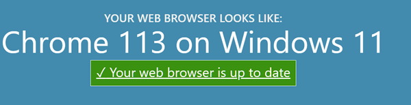 Everything you ever wanted to know about your browser