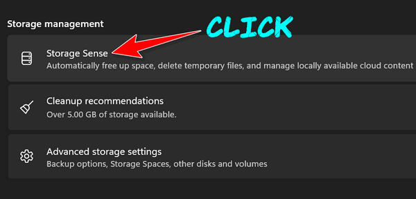 Windows 11 Storage Sense - Cloudeight