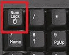 The Num Lock Key - Cloudeight InfoAve