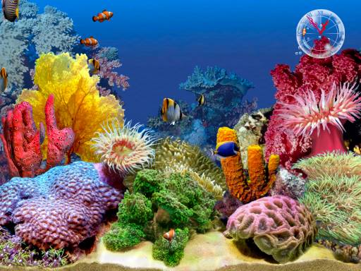 Cloudeight Premium 3D Tropical Aquarium II Screen Saver