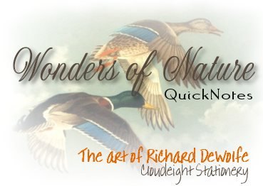 Wonders Of Nature - The art of Richard DeWolfe- QuickNotes 